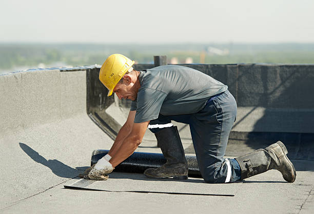 Best Insulation Maintenance and Repair in Ilco, WA
